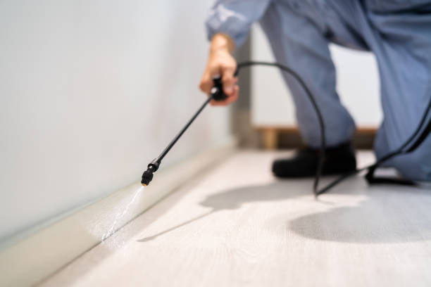 Certified termite inspector examining foundation in Cape May Court House