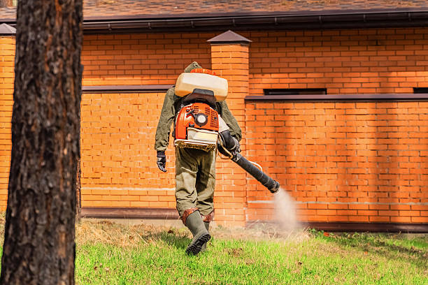 Top rated local Mosquito Control specialists in Cape May Court House, NJ